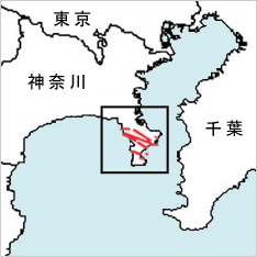 �˒ˋ�ɋ߂����f�w